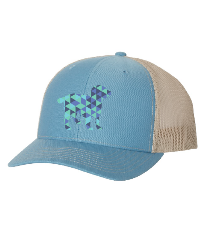 Geometric Boykin Hat